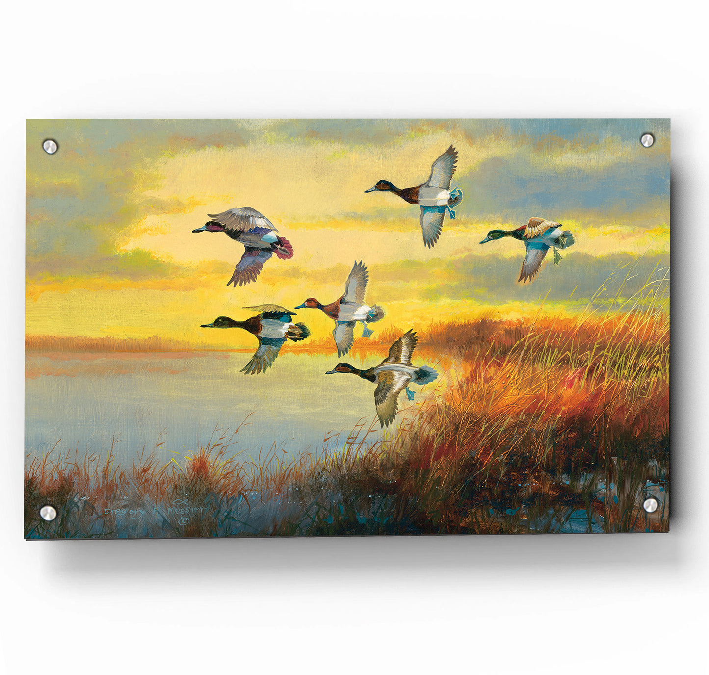 Autumn Sunrise-Bluebills