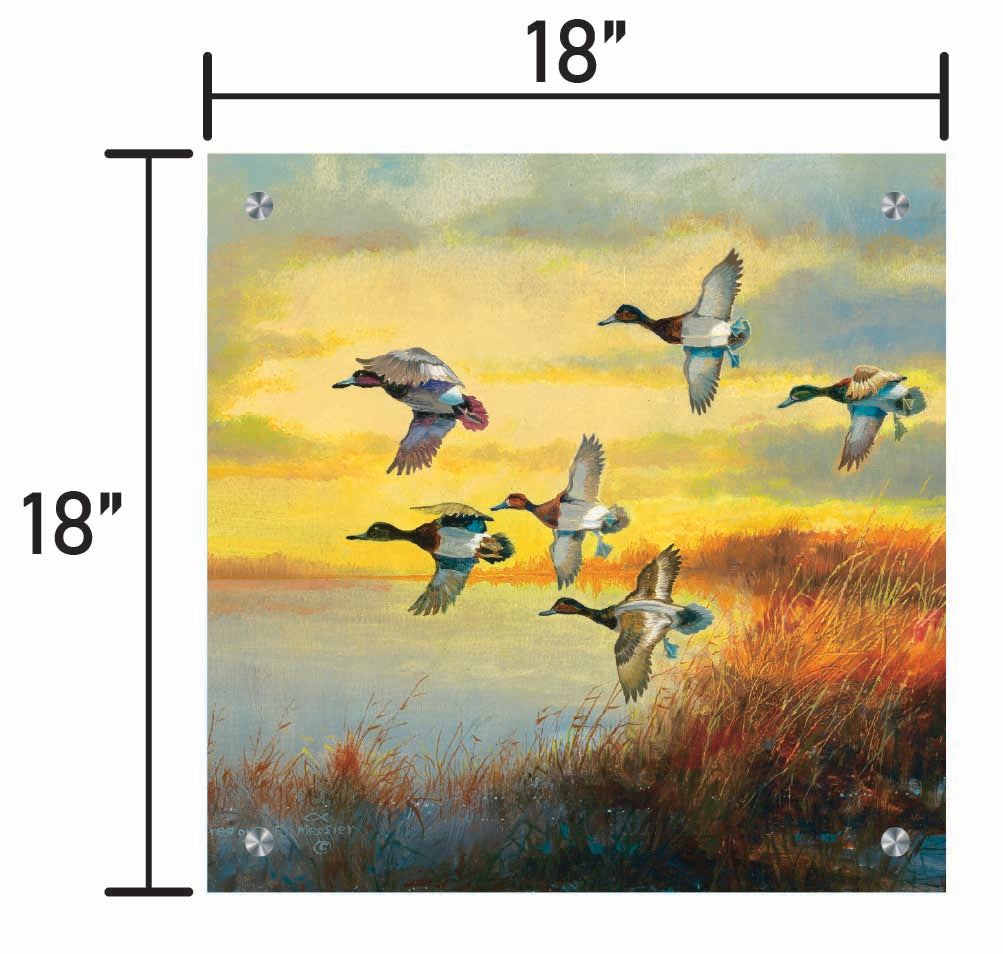 Autumn Sunrise-Bluebills