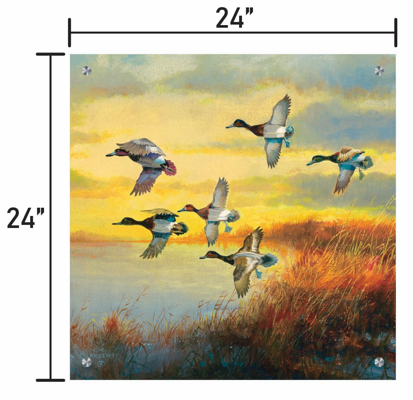 Autumn Sunrise-Bluebills