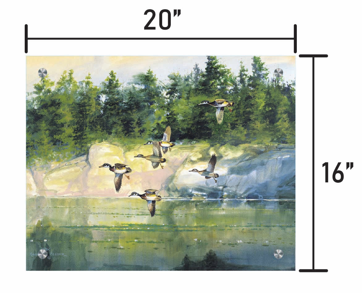 The Woodies-Wood Ducks