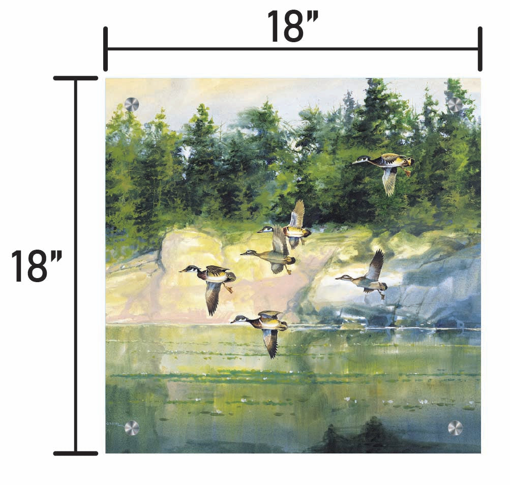 The Woodies-Wood Ducks