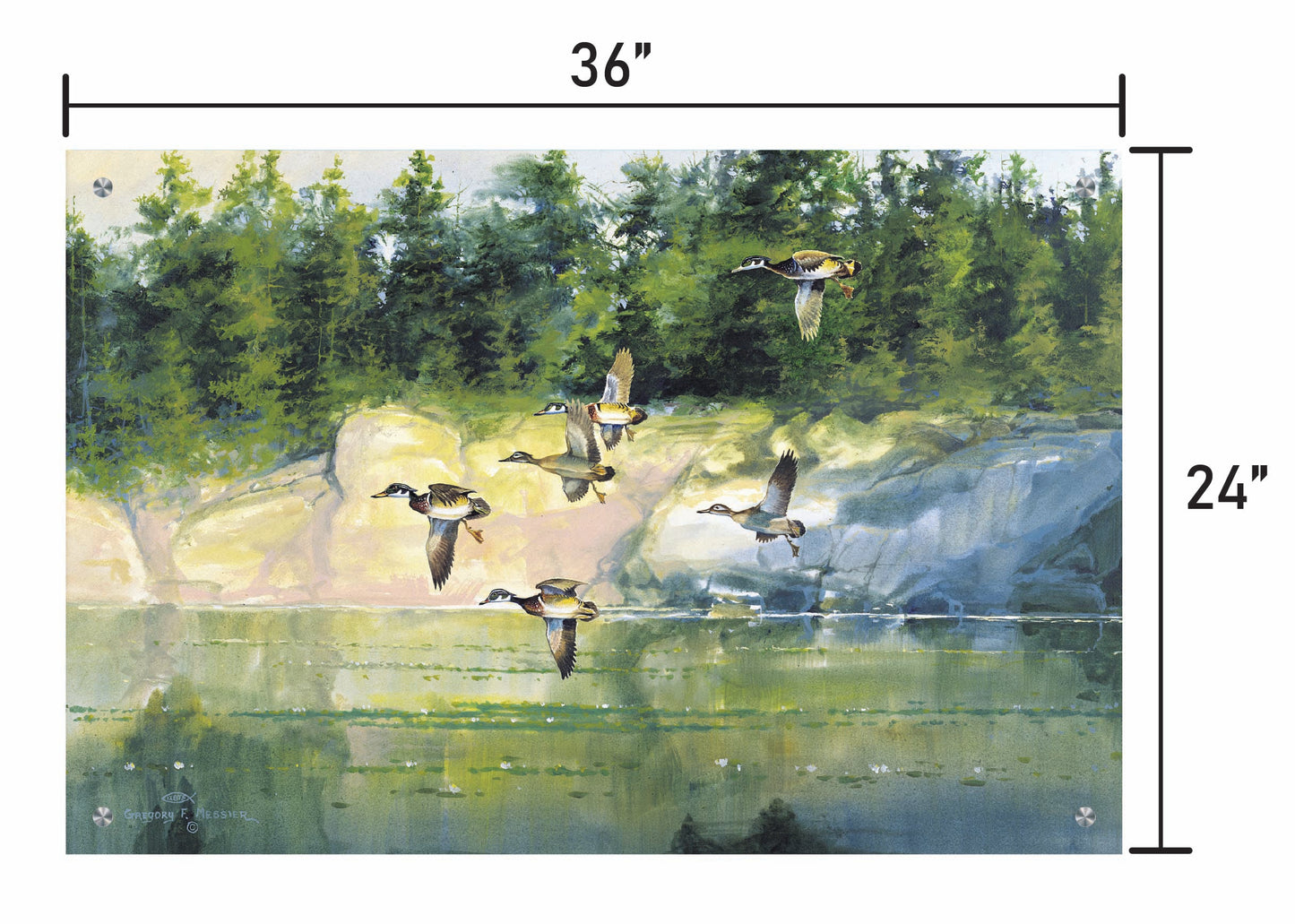 The Woodies-Wood Ducks