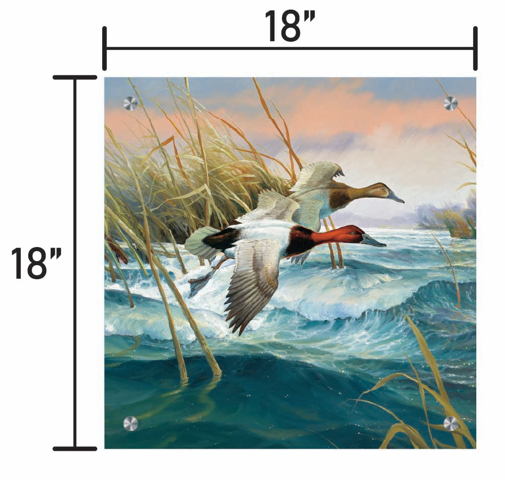 Wave Runners-Canvasbacks