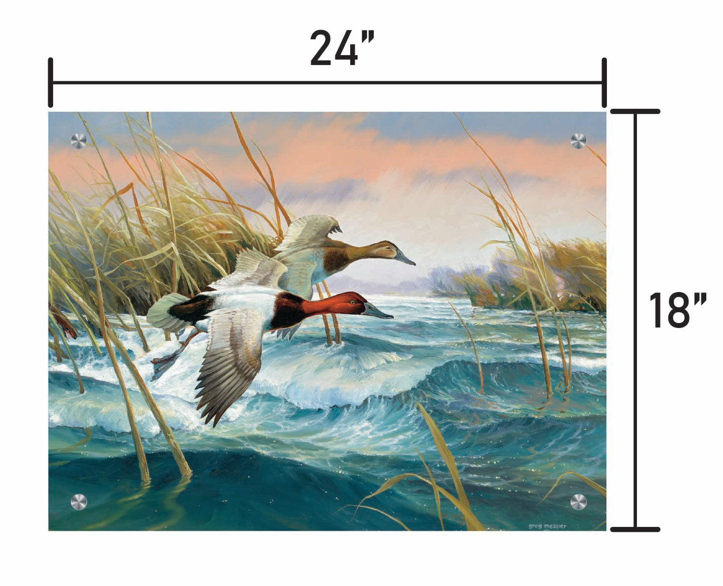 Wave Runners-Canvasbacks