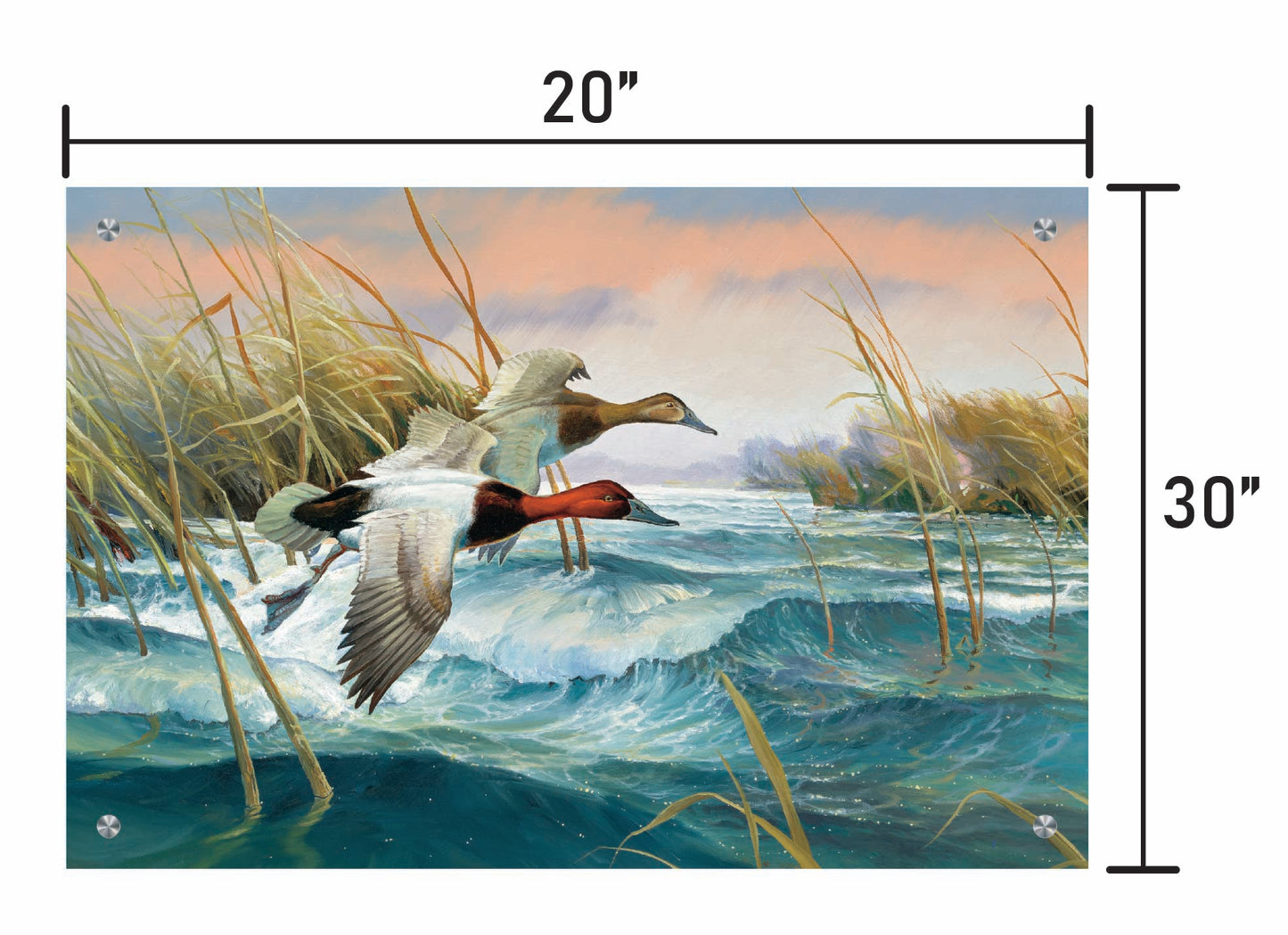 Wave Runners-Canvasbacks