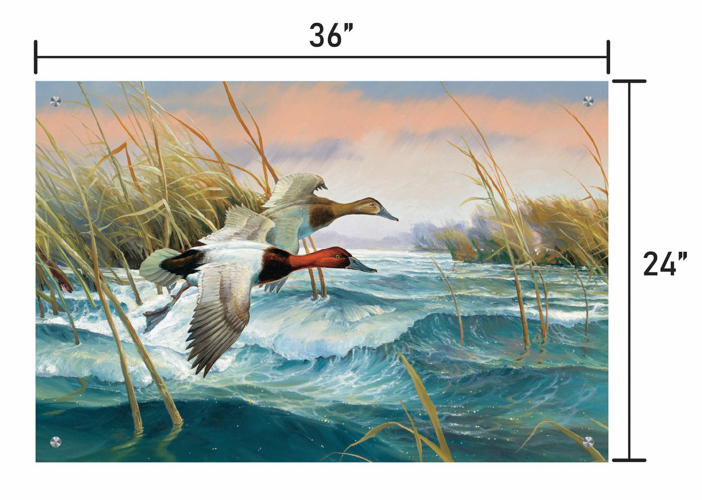 Wave Runners-Canvasbacks