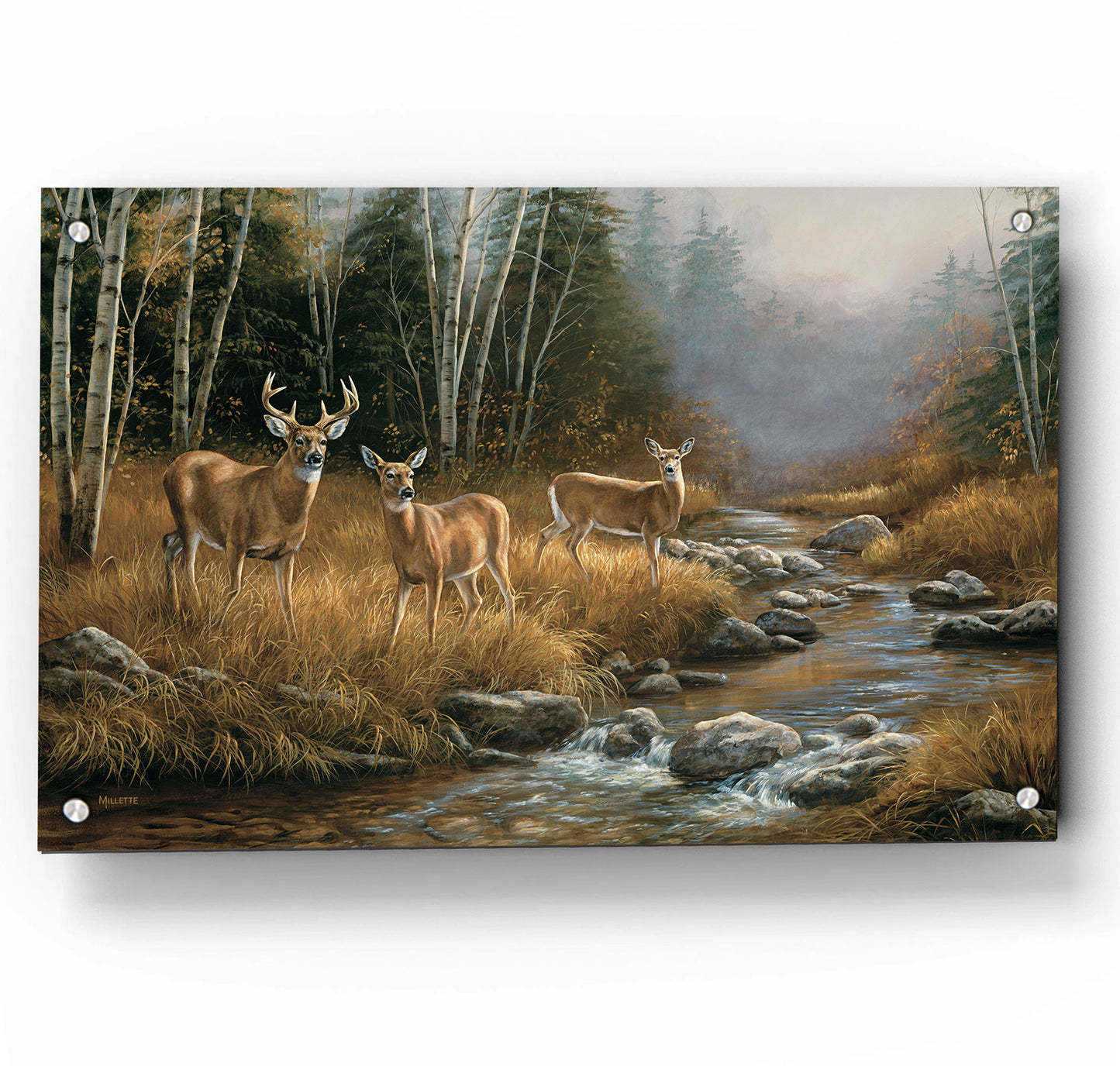 October Mist-Whitetail Deer