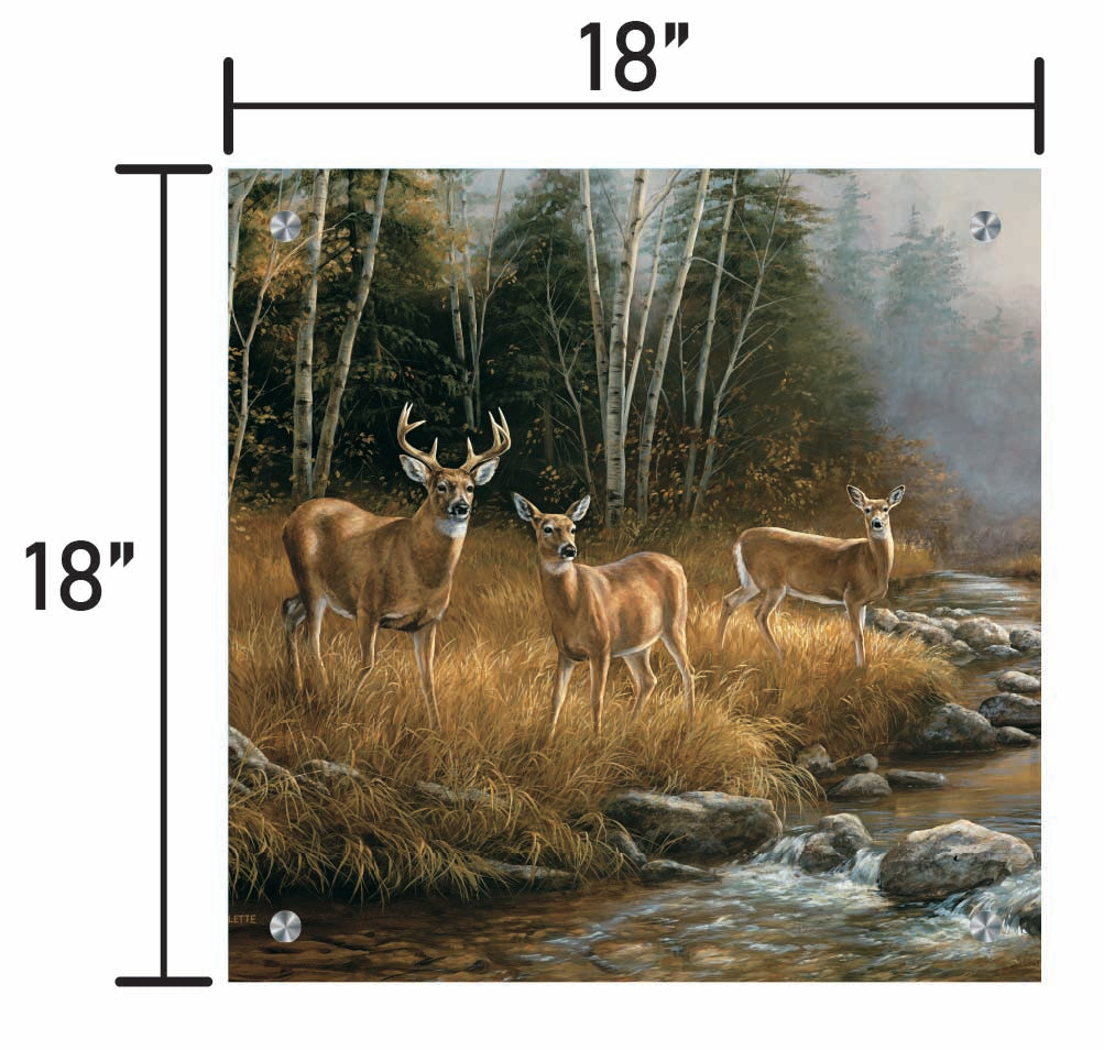 October Mist-Whitetail Deer