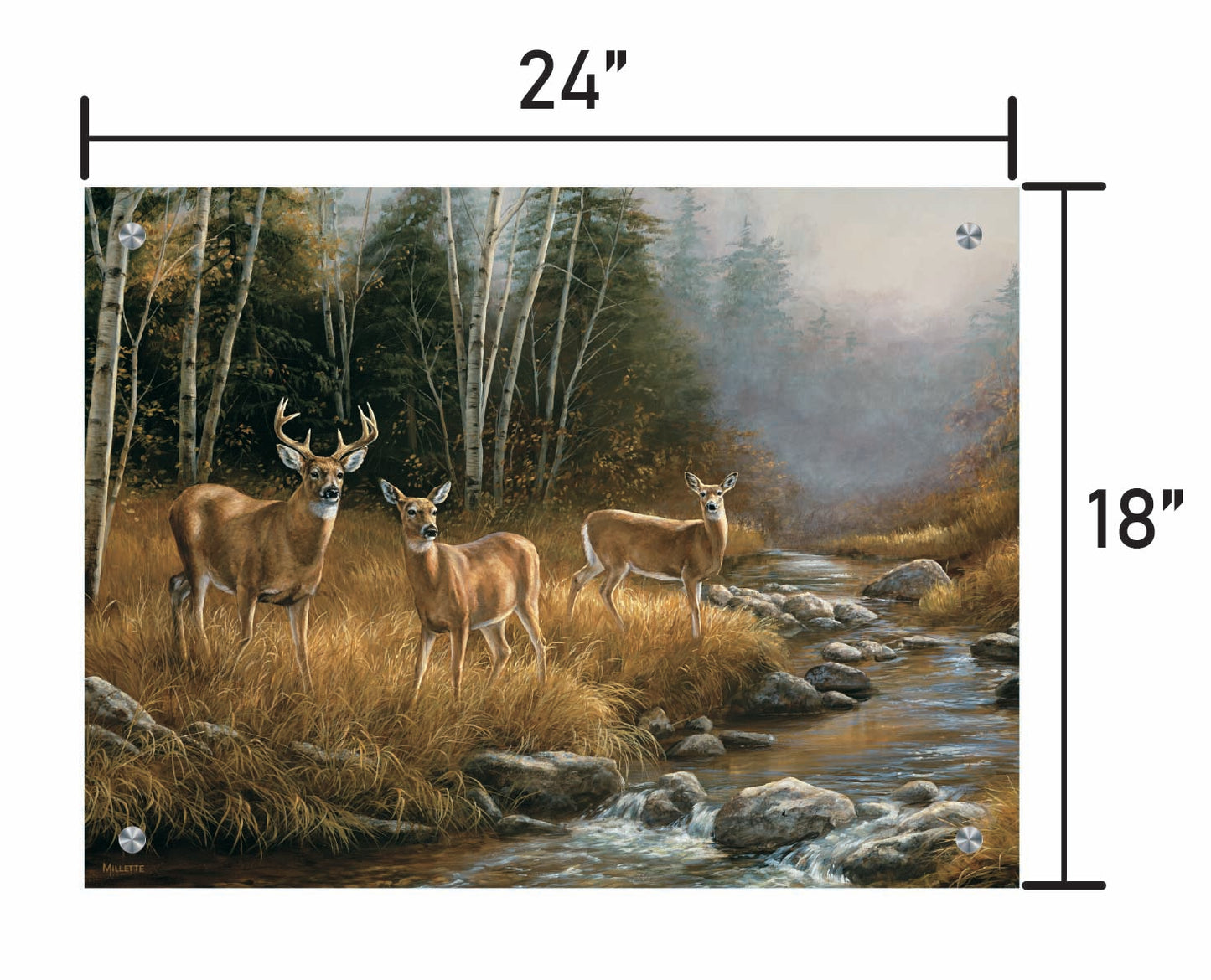 October Mist-Whitetail Deer