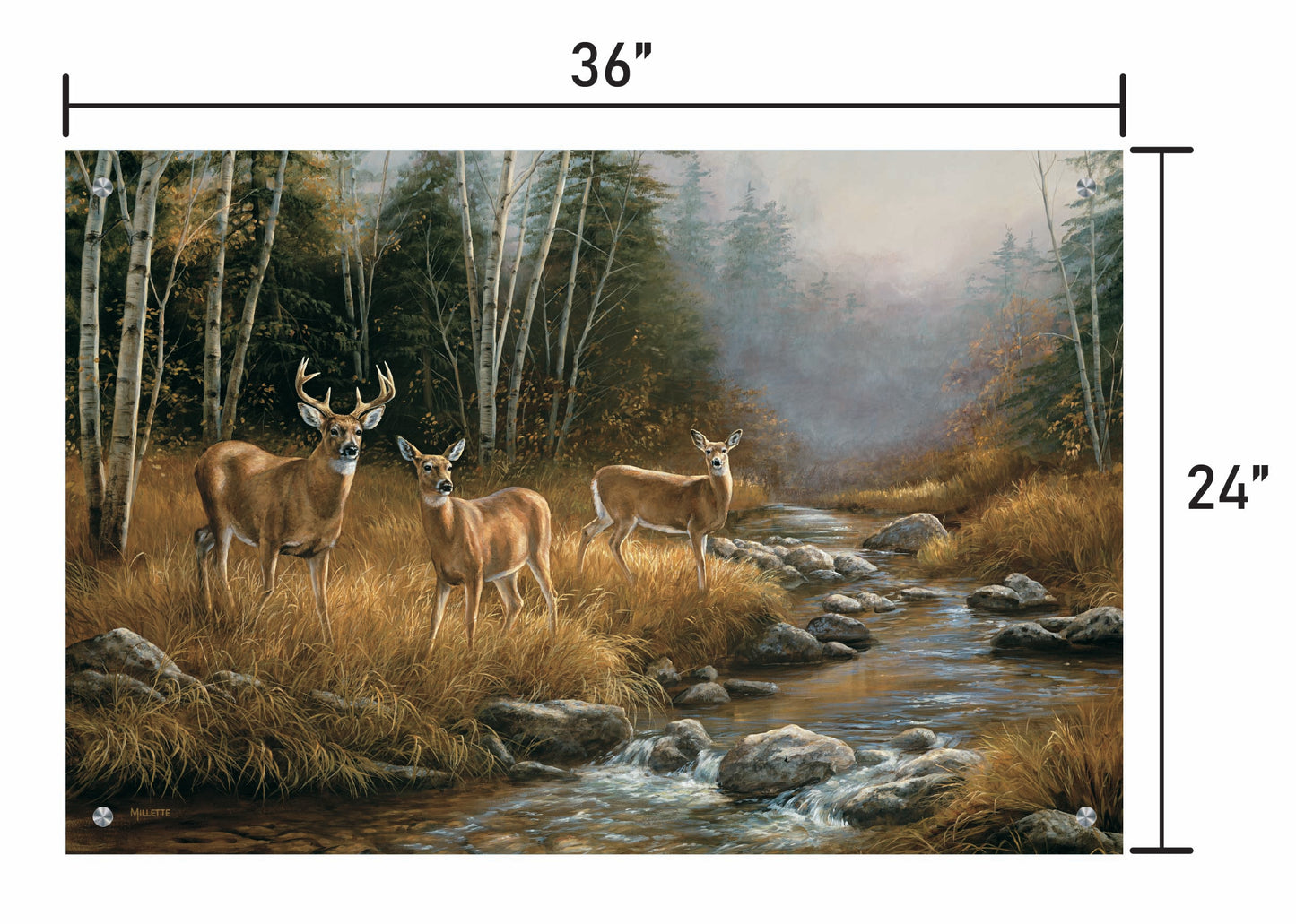 October Mist-Whitetail Deer
