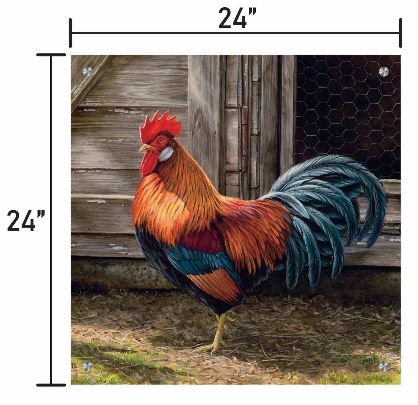 Light Brown Chicken Rooster