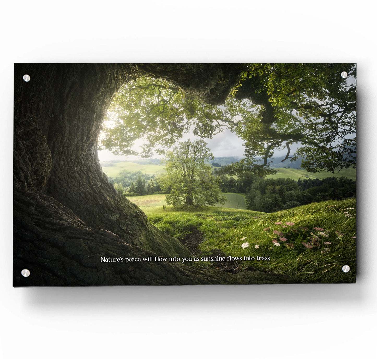 Meadows Edge  w/ Quote