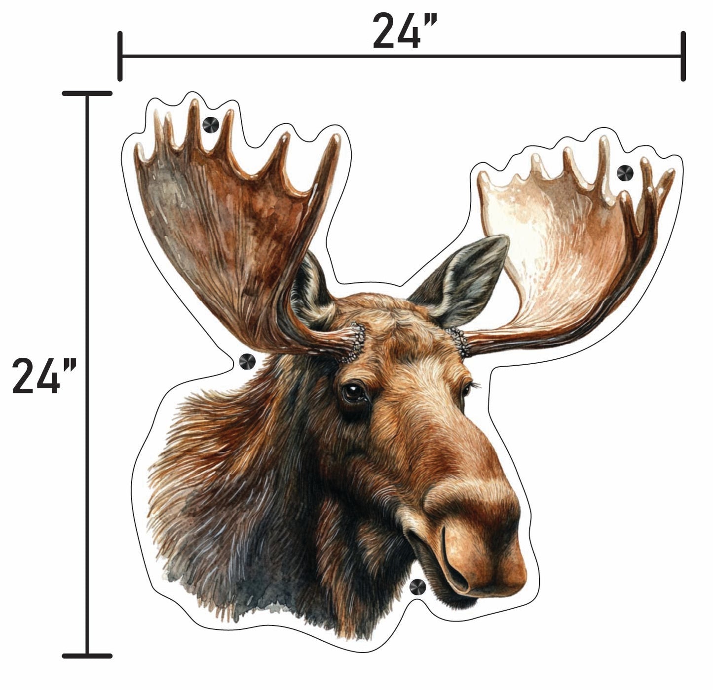 Moose Head