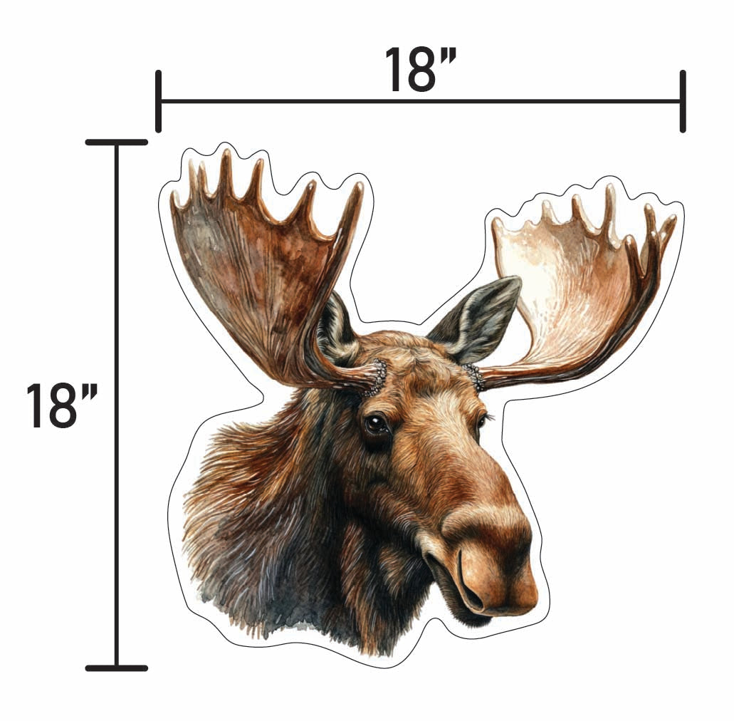 Moose Head