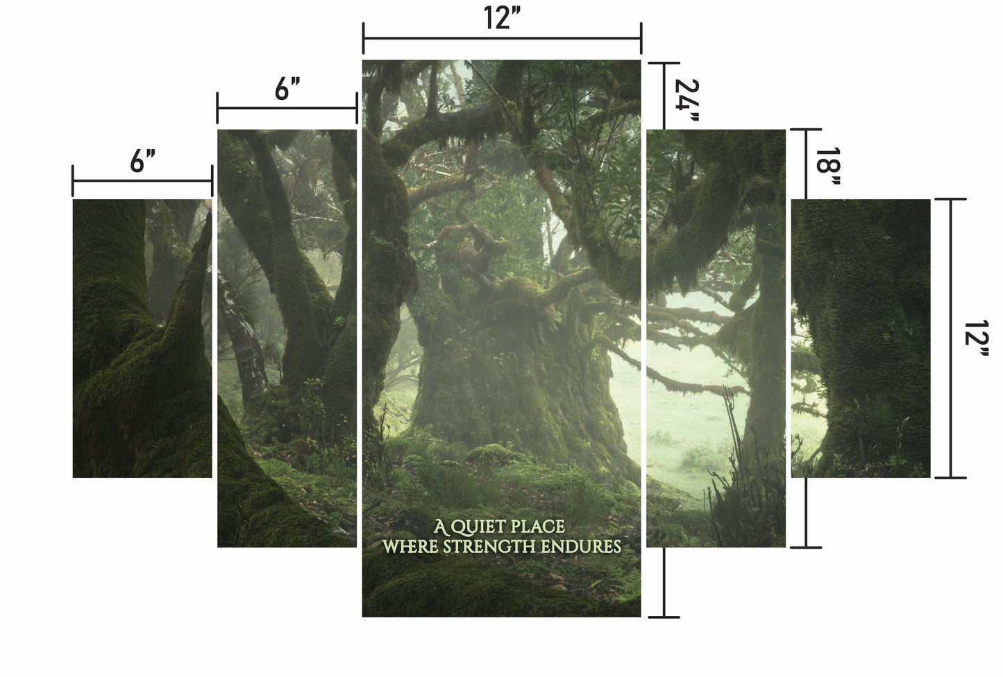 Among the Ancients w/ Quote