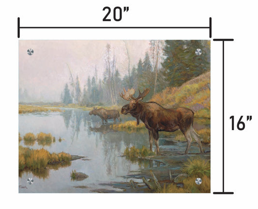 Autumn in Moose Country