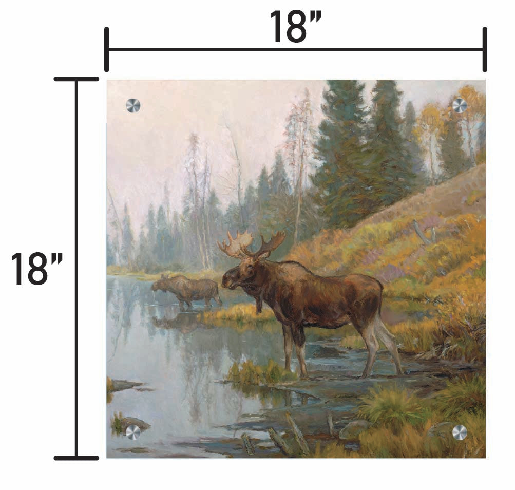 Autumn in Moose Country