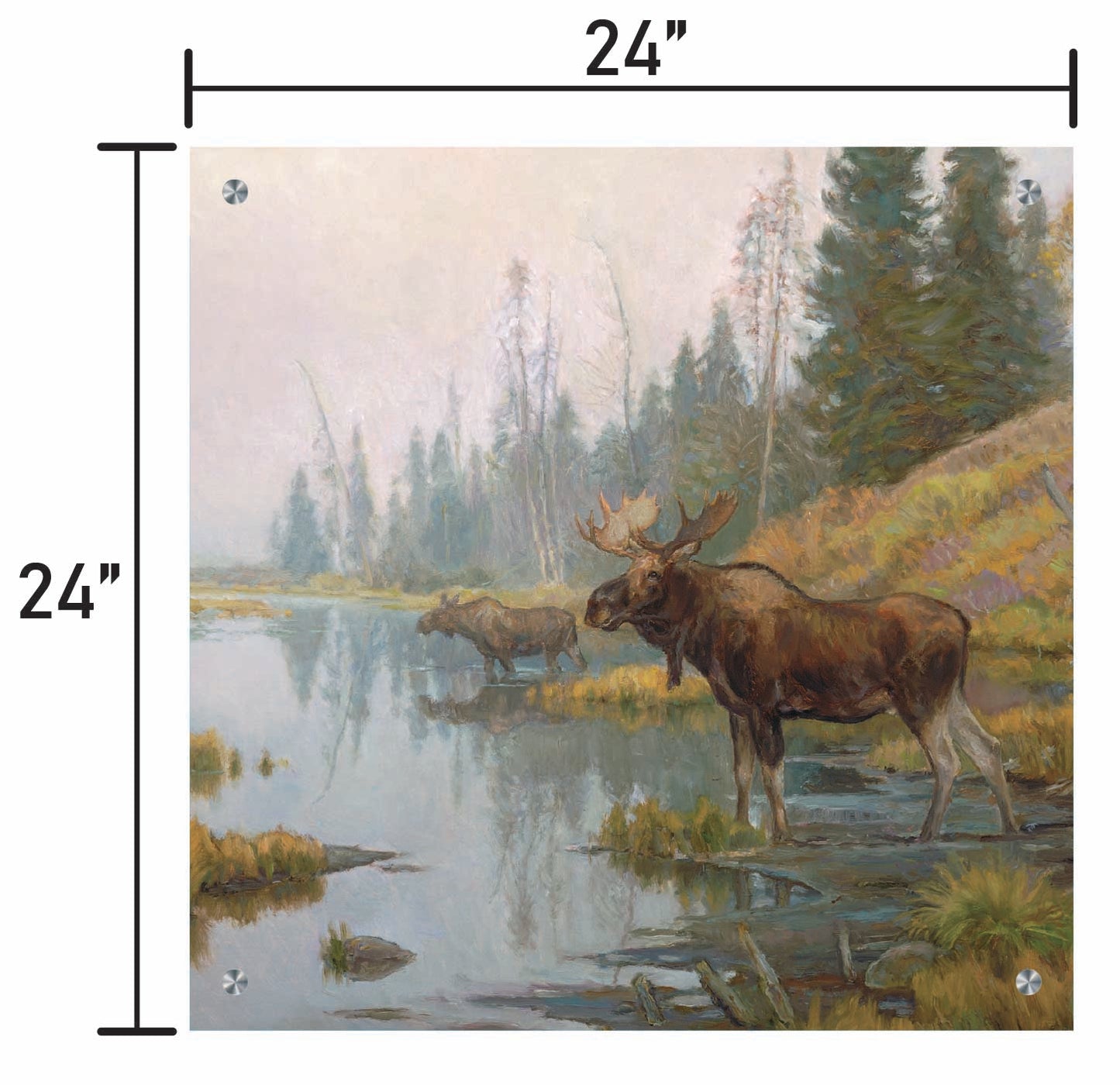 Autumn in Moose Country