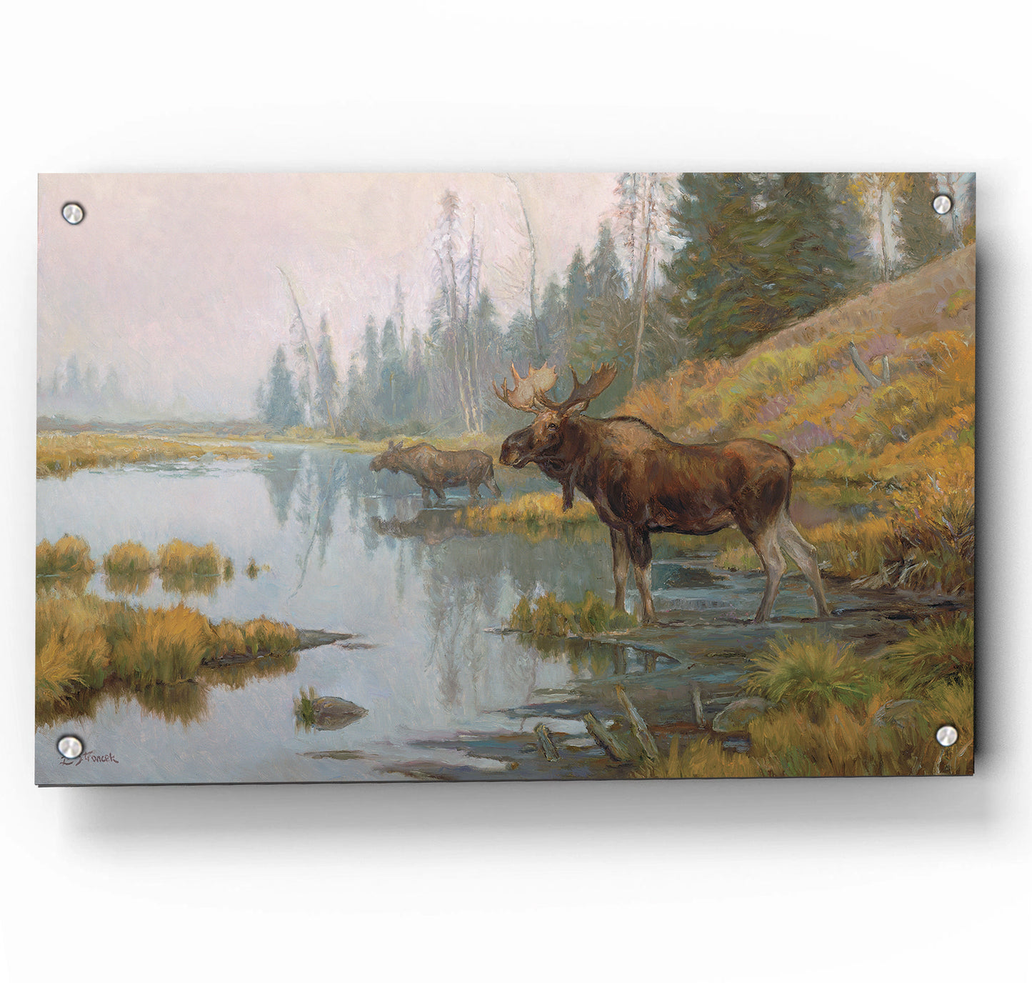 Autumn in Moose Country