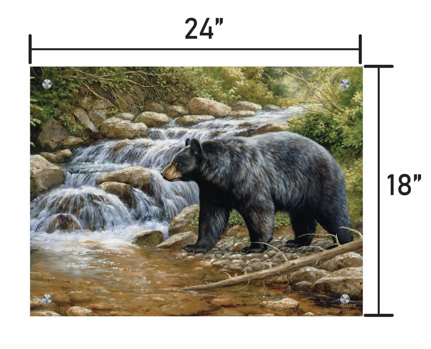 Shadow of the Forest