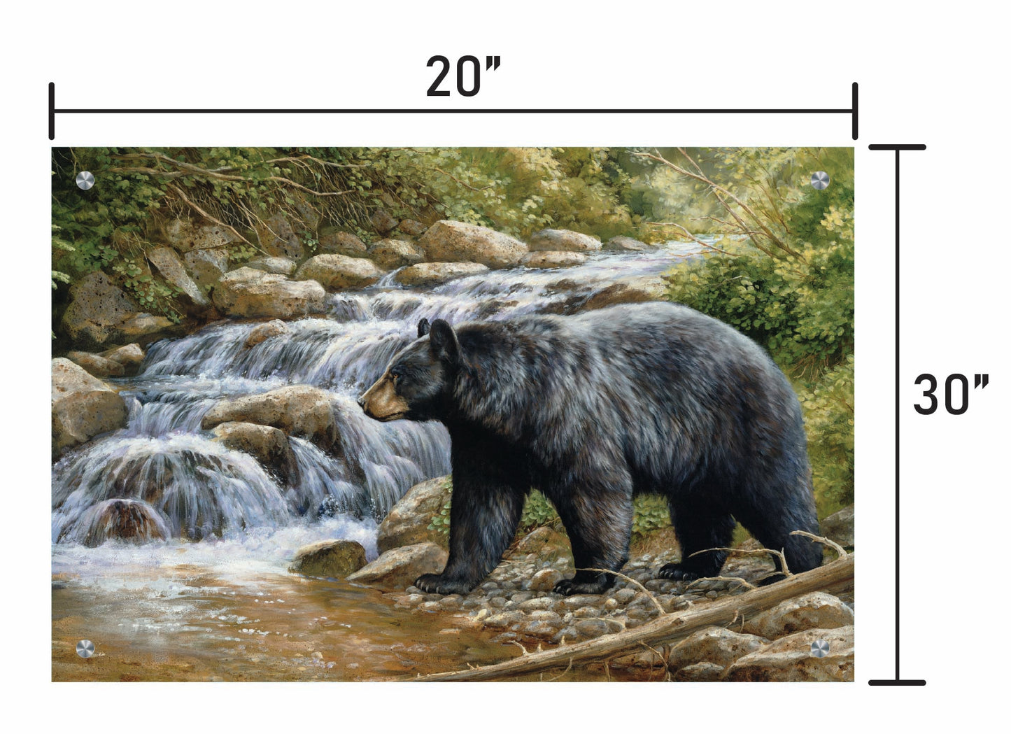 Shadow of the Forest