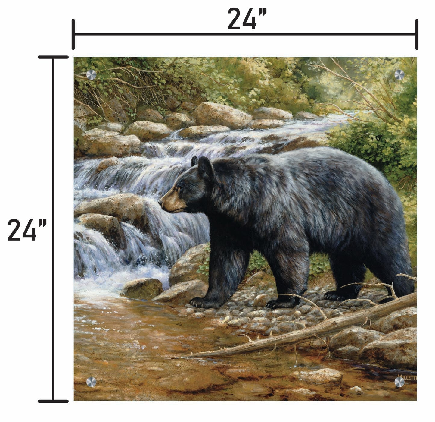 Shadow of the Forest