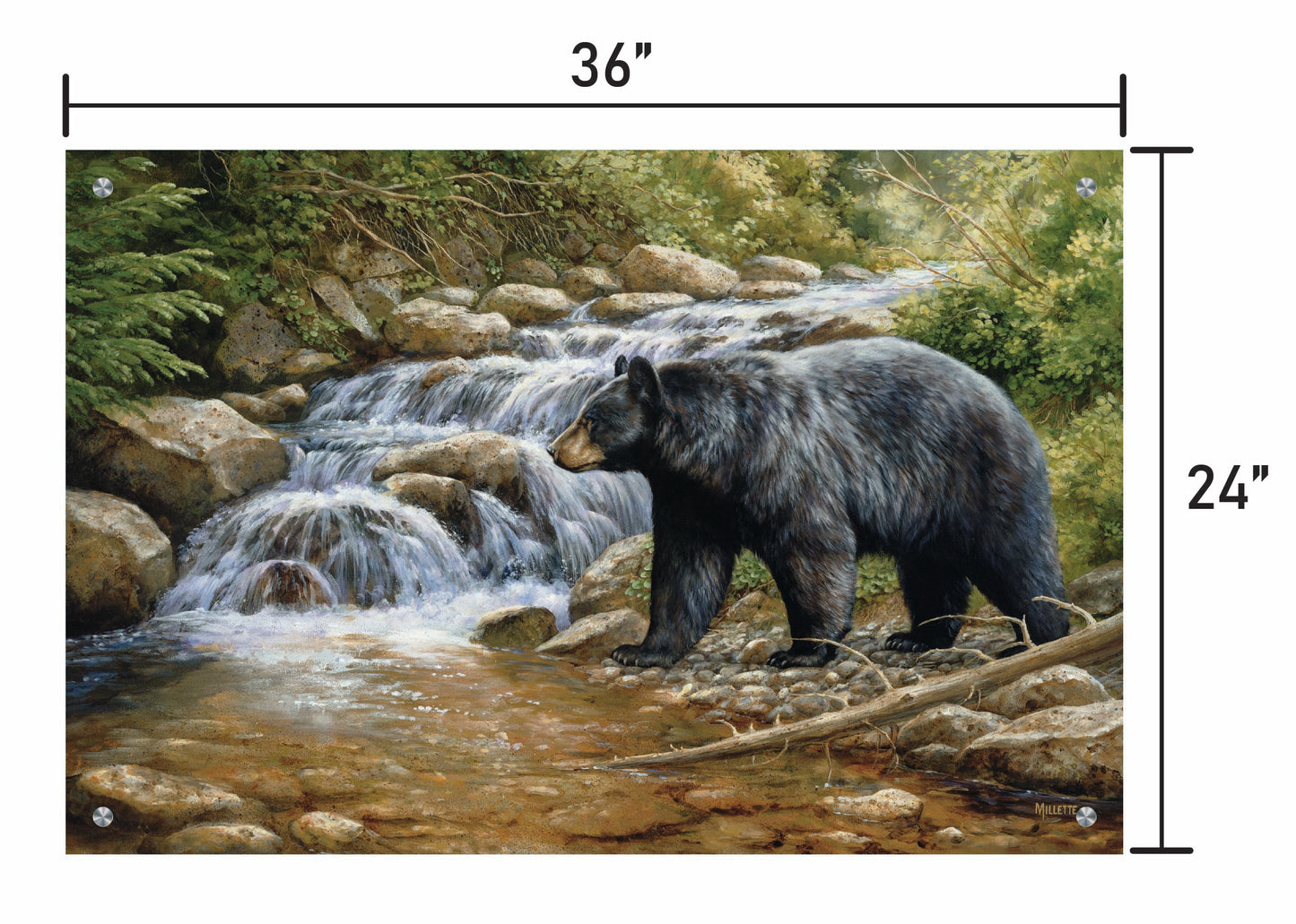 Shadow of the Forest