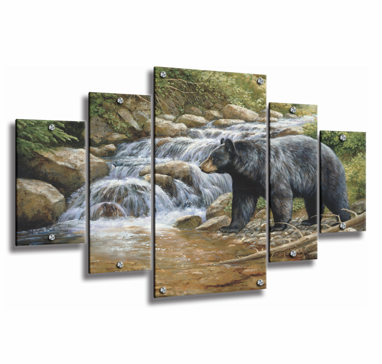 Shadow of the Forest