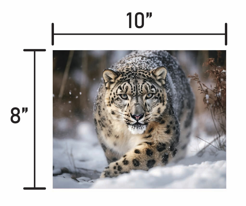 Snow Leopard - Smalls