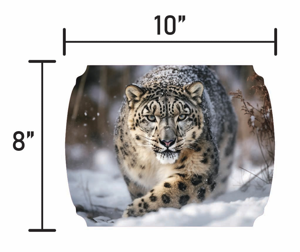 Snow Leopard - Smalls