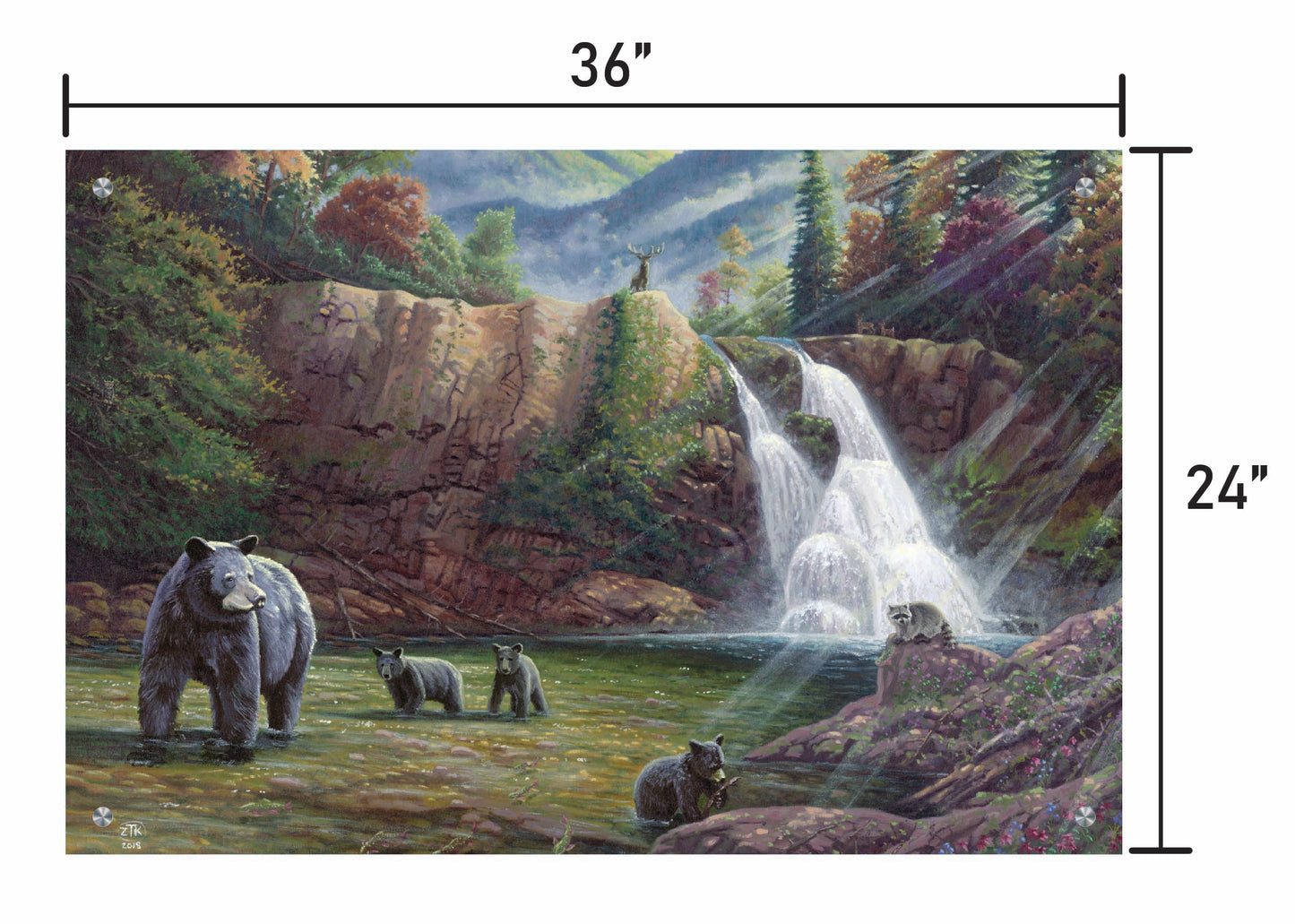 Spirit of the Smokies