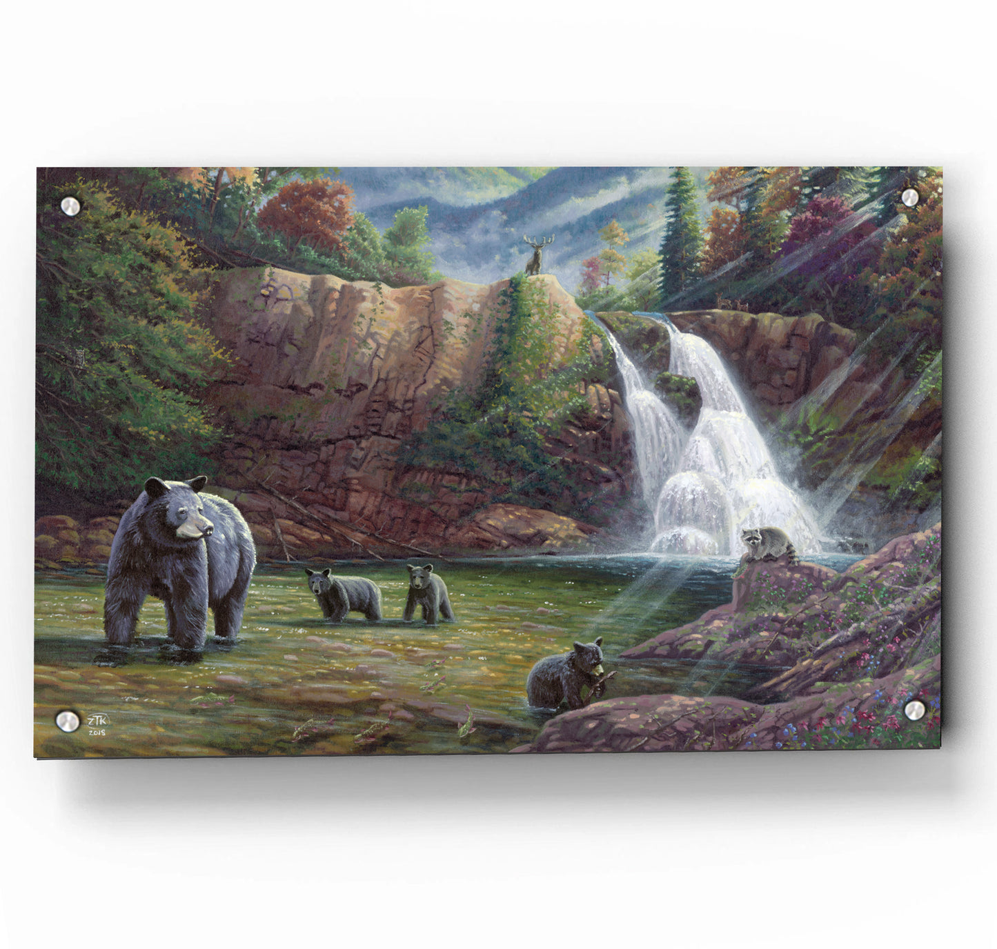 Spirit of the Smokies