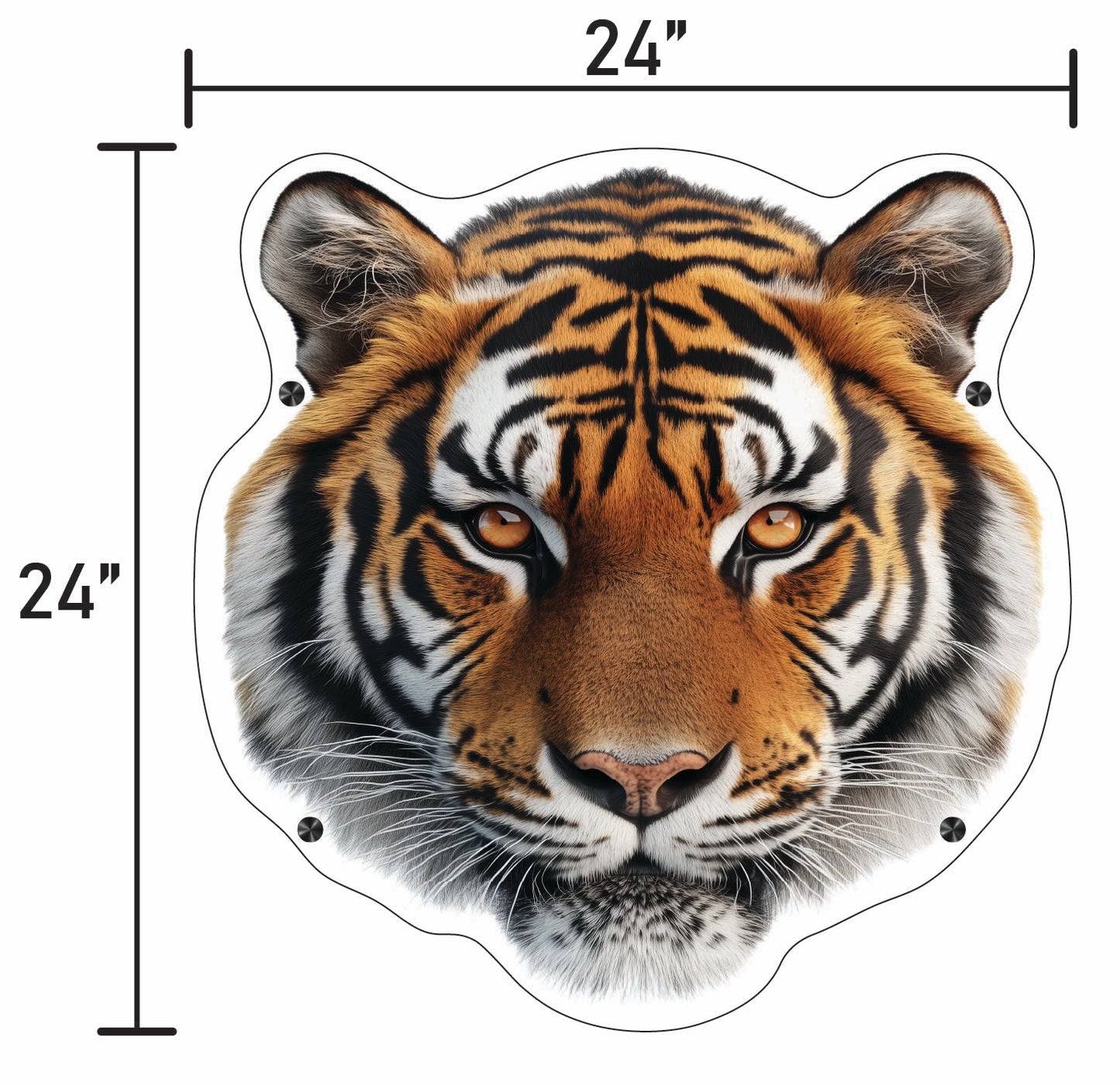 Tiger Head