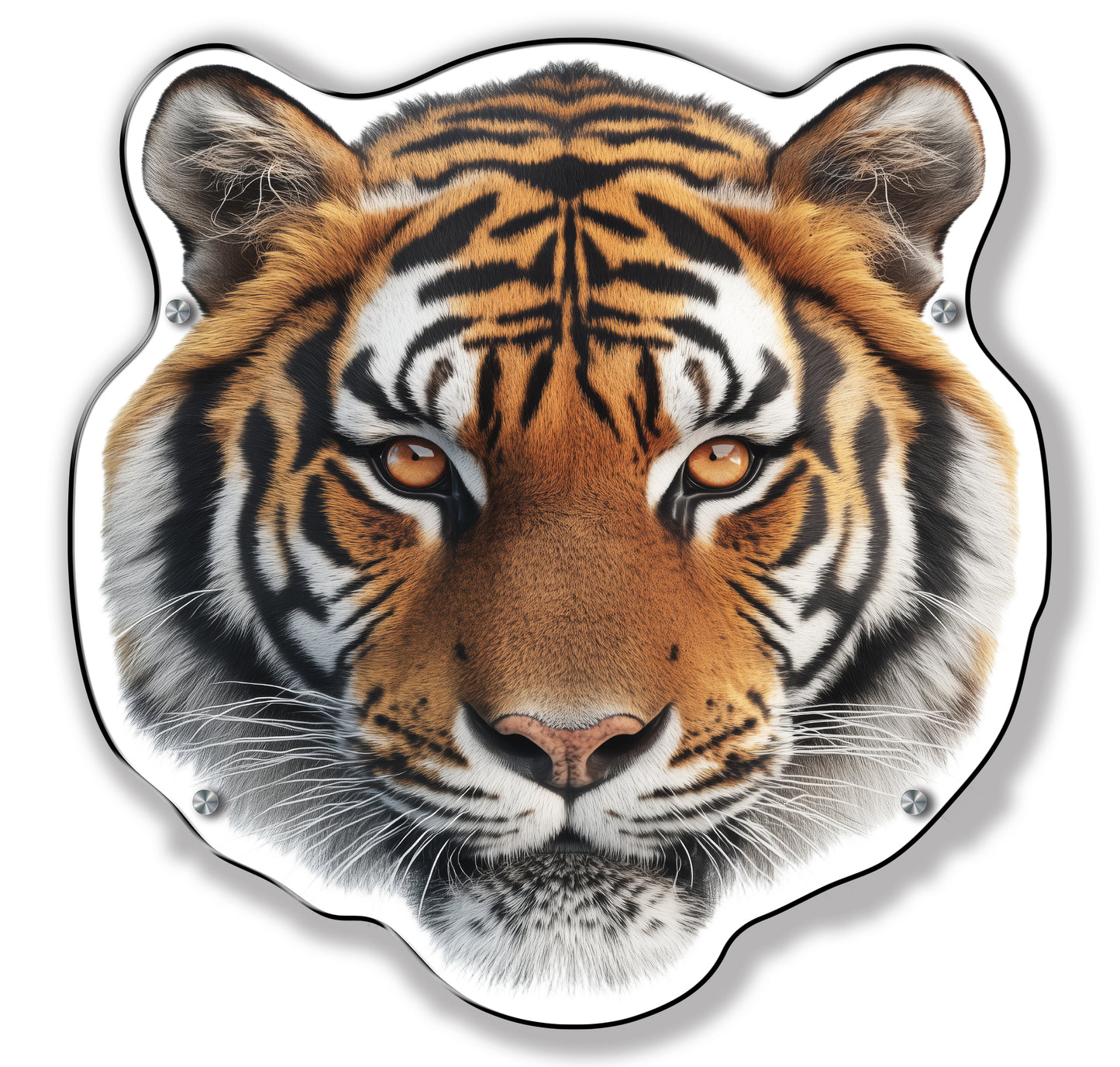 Tiger Head