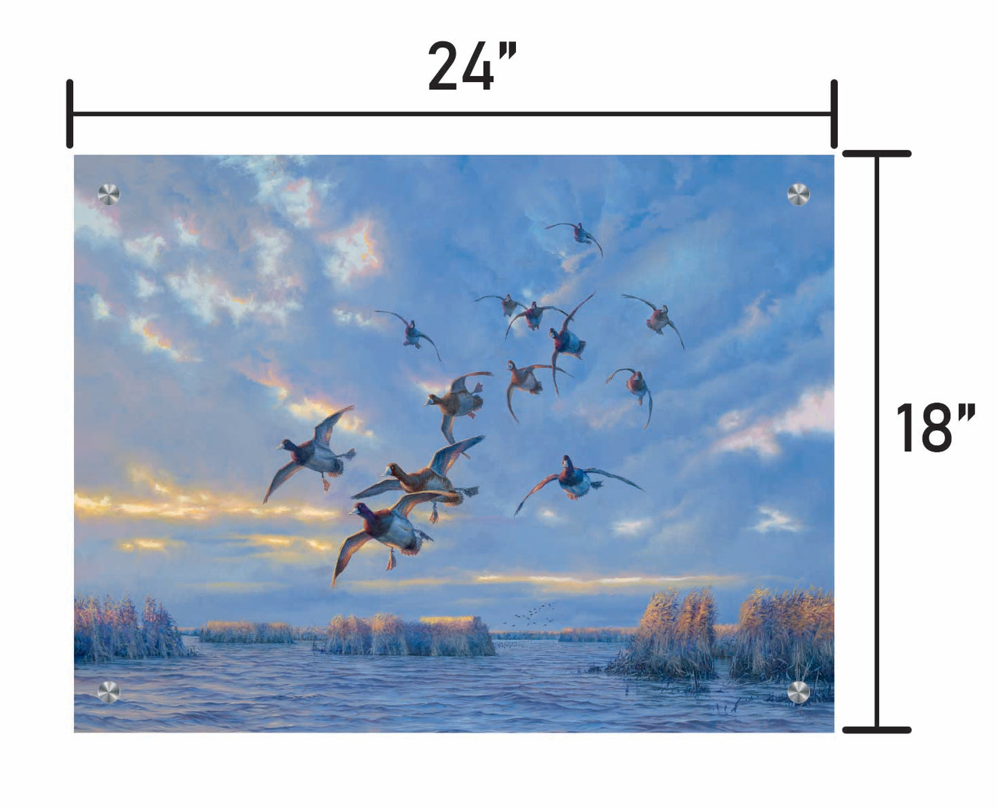 The Straights - Bluebills