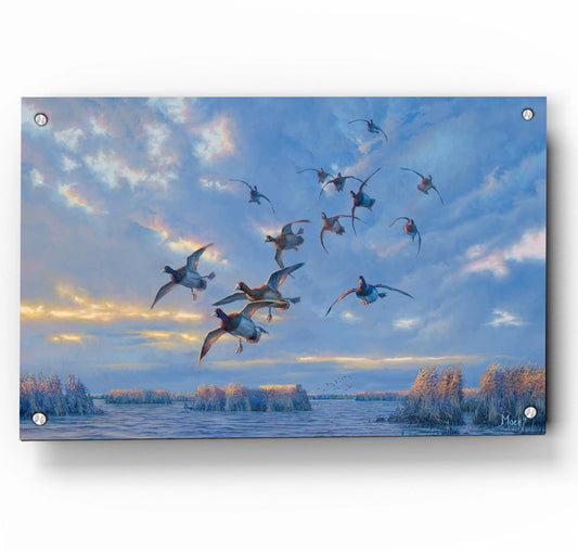 The Straights - Bluebills