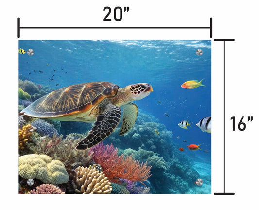 Guardians of the Reef