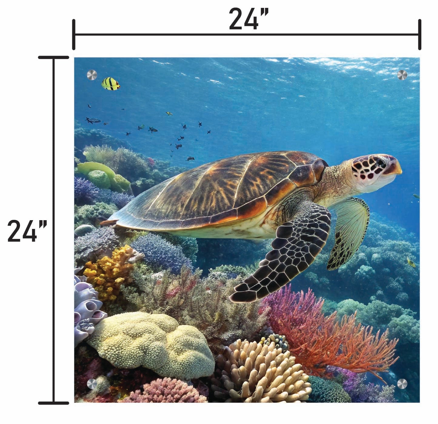 Guardians of the Reef