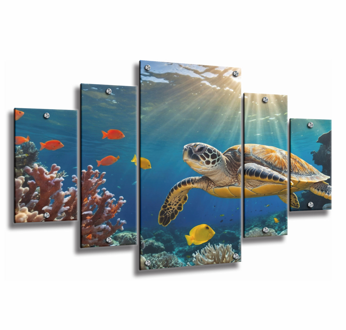 Turtle Swimming in Ocean