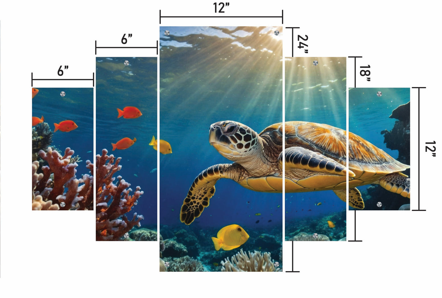 Turtle Swimming in Ocean