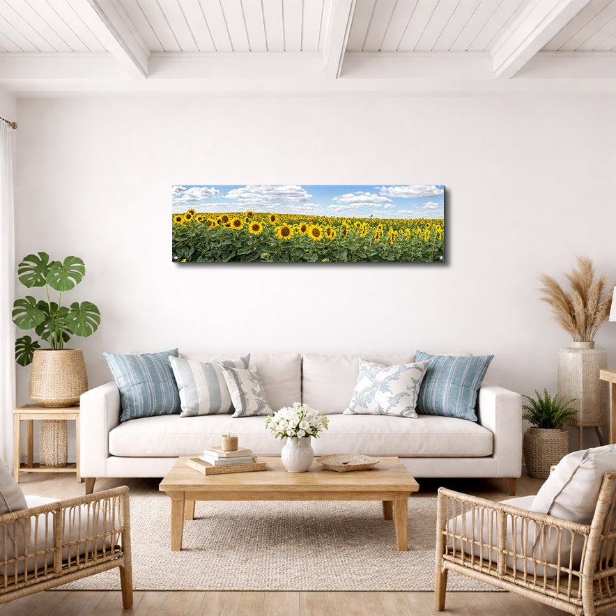 Blooming Sunflowers