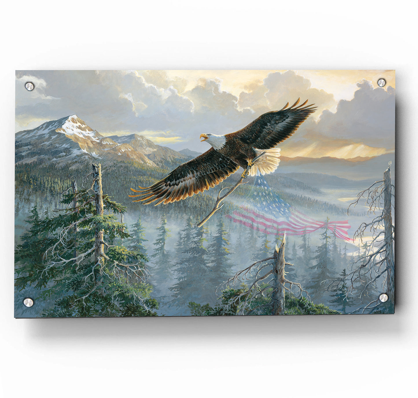 Rebuilding America-Bald Eagle