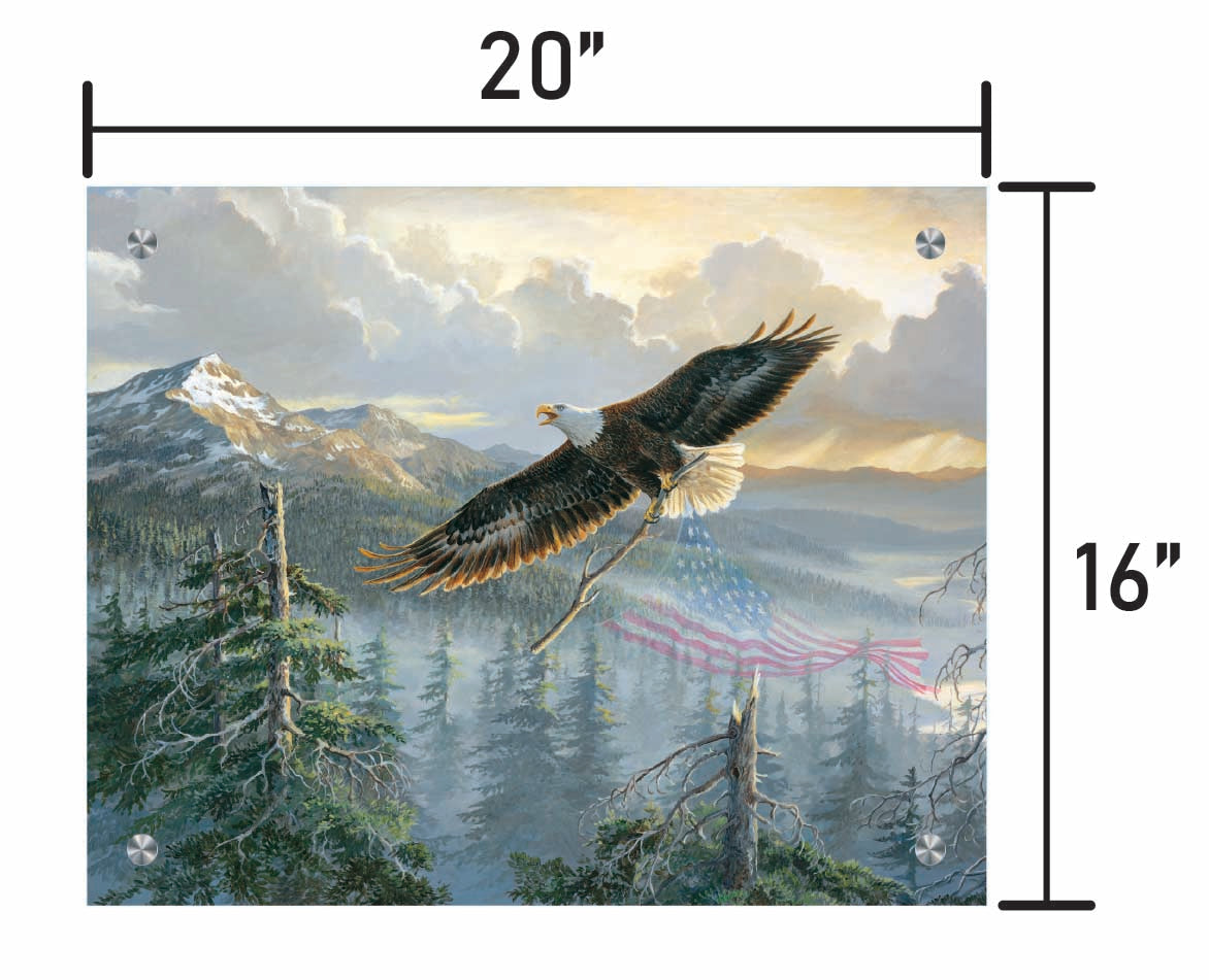 Rebuilding America-Bald Eagle