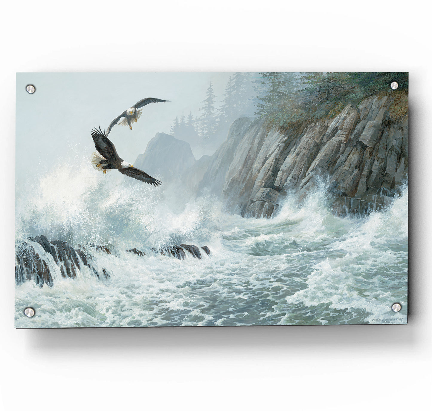 Storm Riders-Bald Eagles