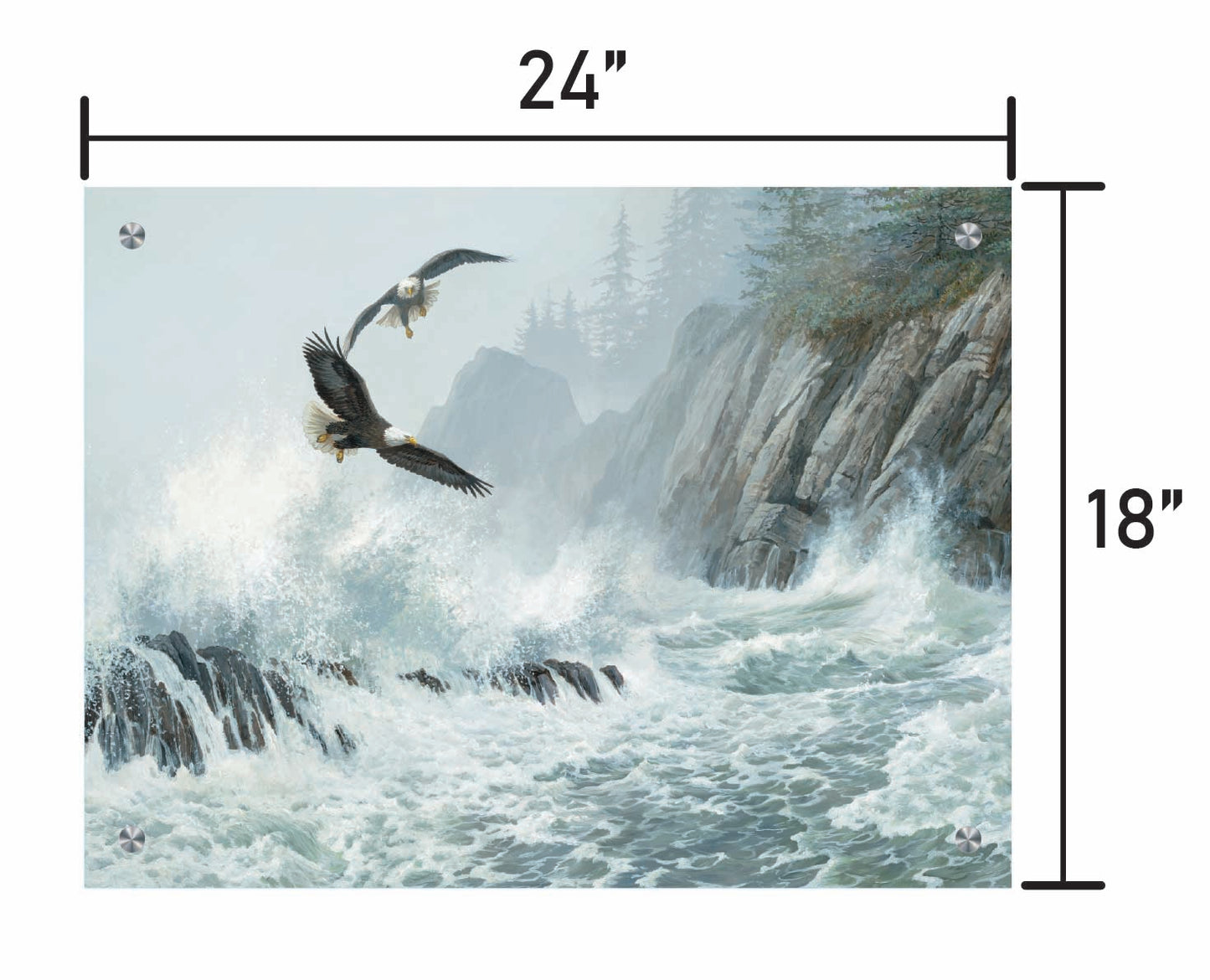 Storm Riders-Bald Eagles
