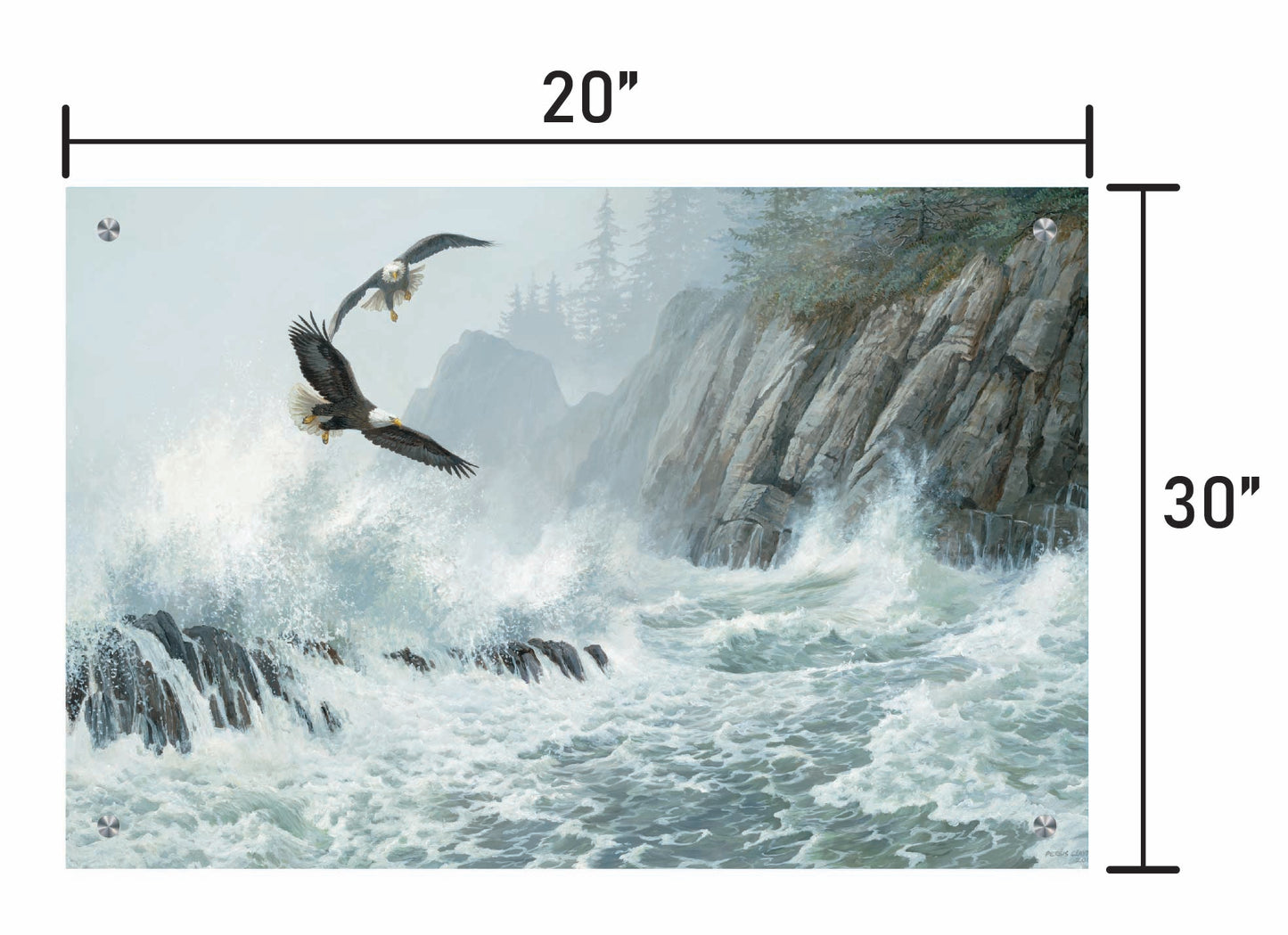 Storm Riders-Bald Eagles