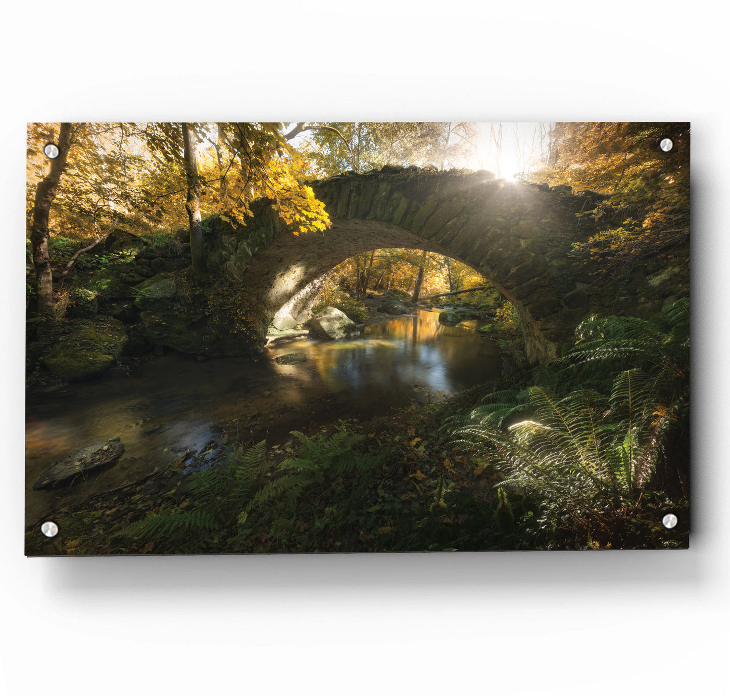 When Time Stood Still