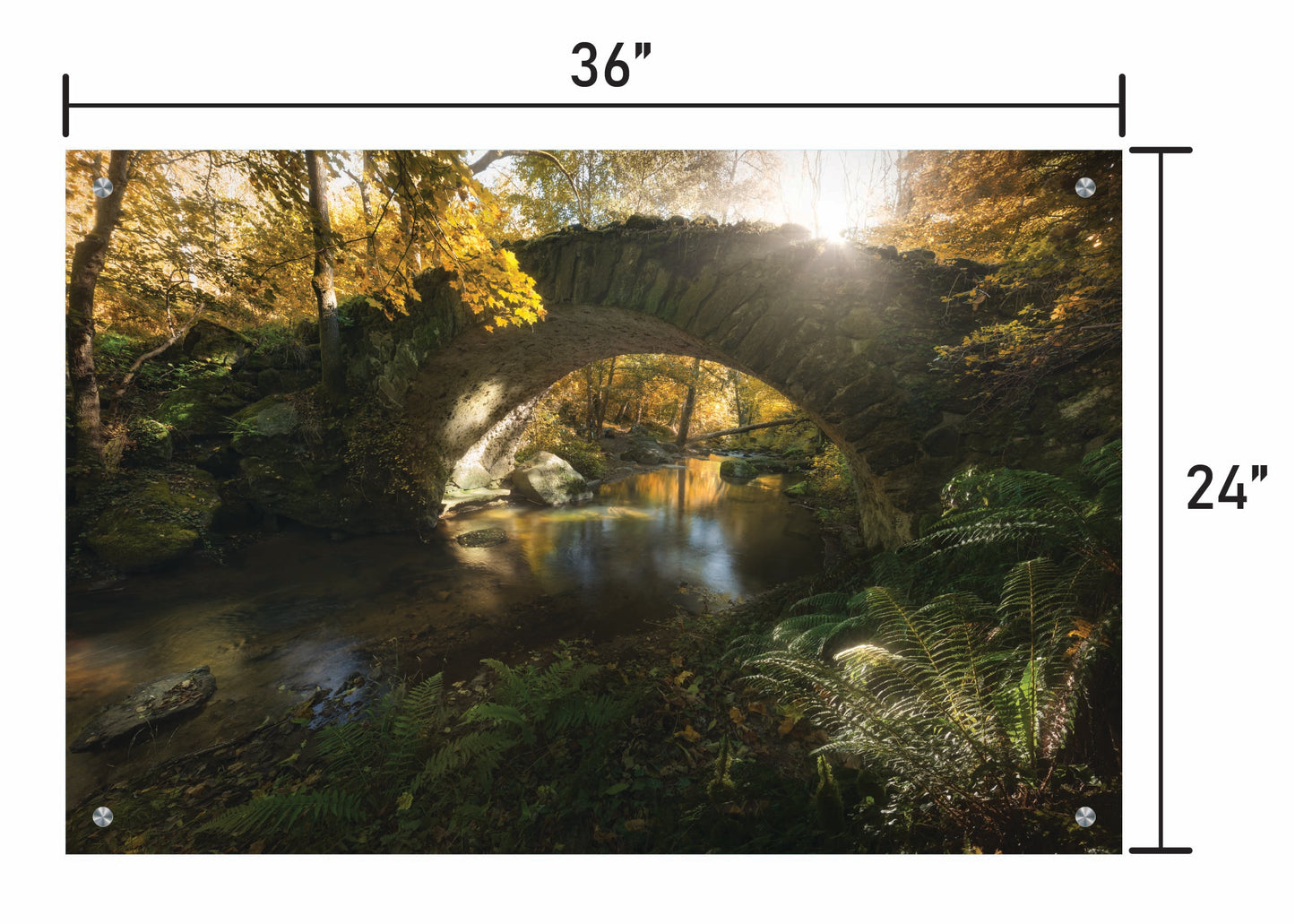 When Time Stood Still