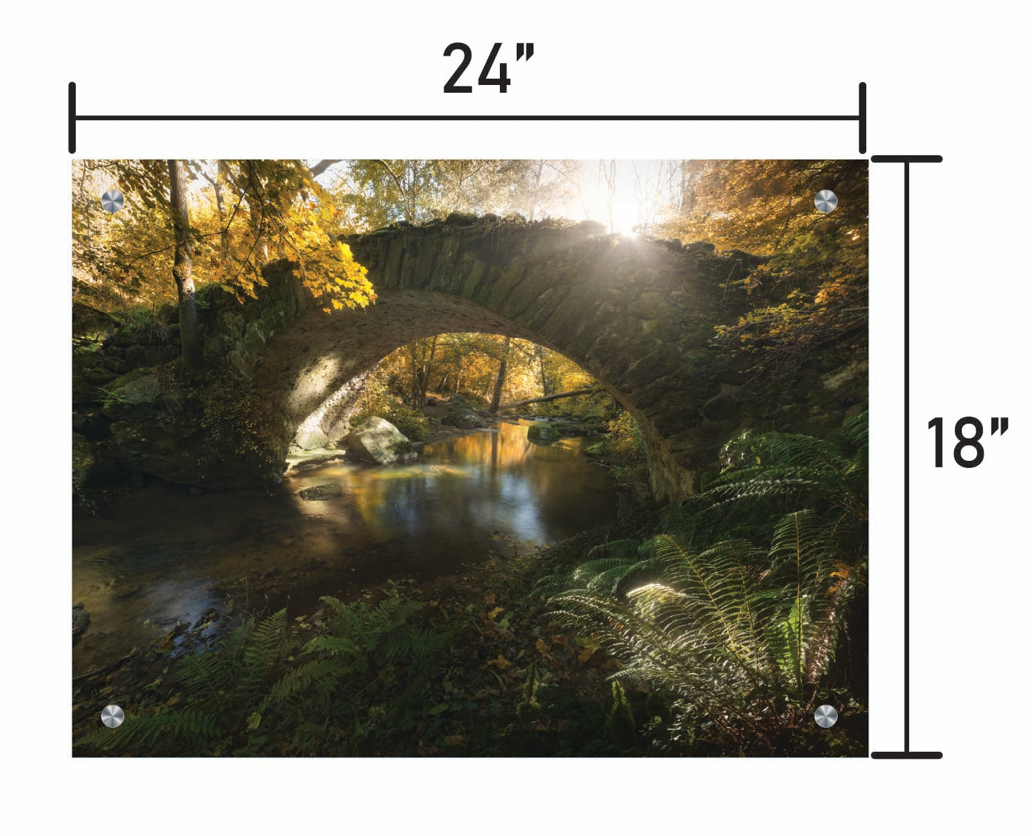 When Time Stood Still