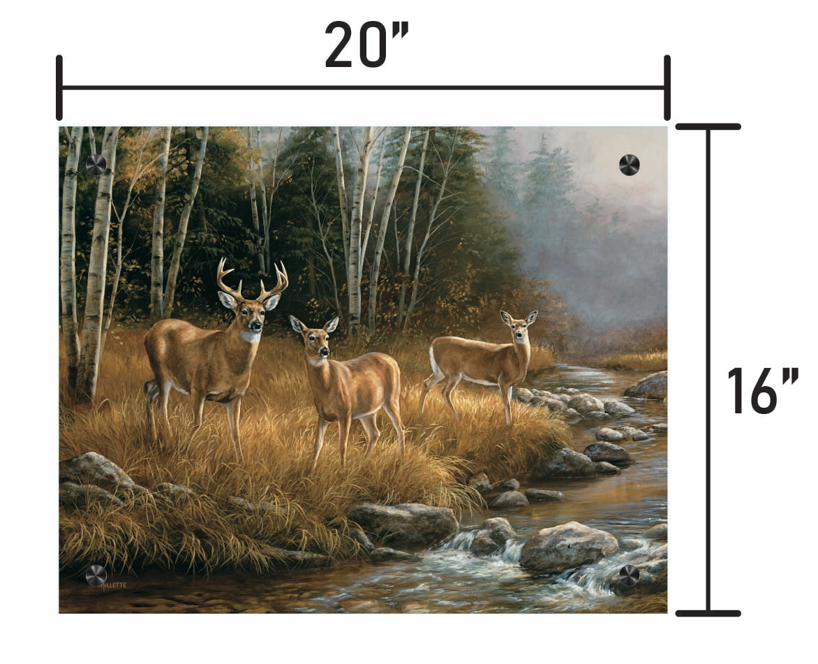October Mist-Whitetail Deer